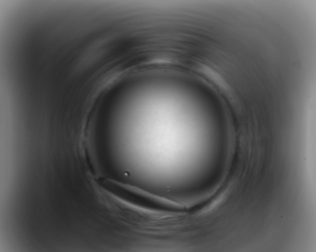 X0000088911129200706151901