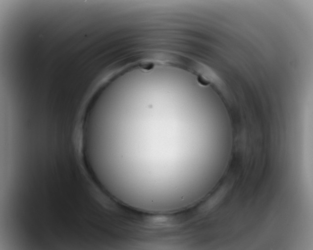X0000088911130200706151901