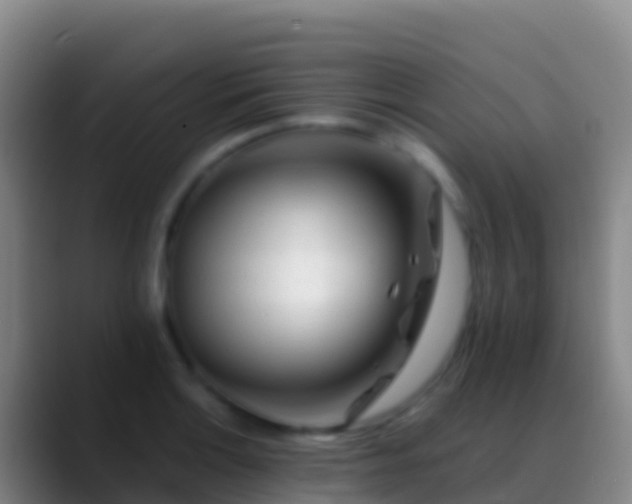 X0000088911132200706151901