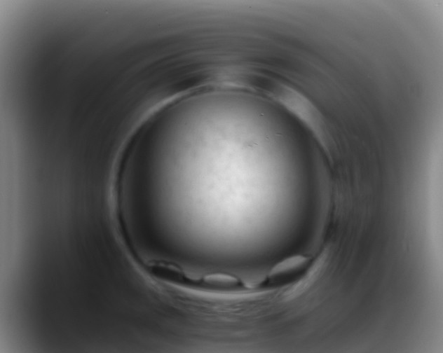 X0000088911141200706151901