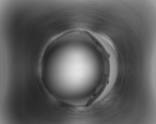 X0000088911144200706151901