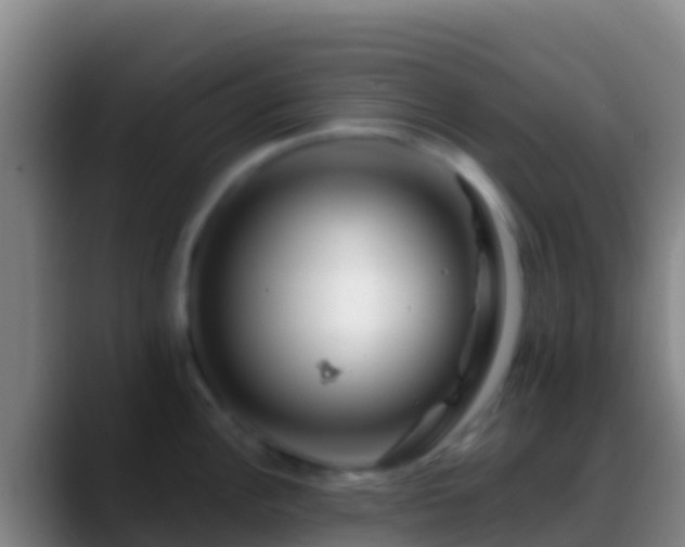 X0000088911148200706151901
