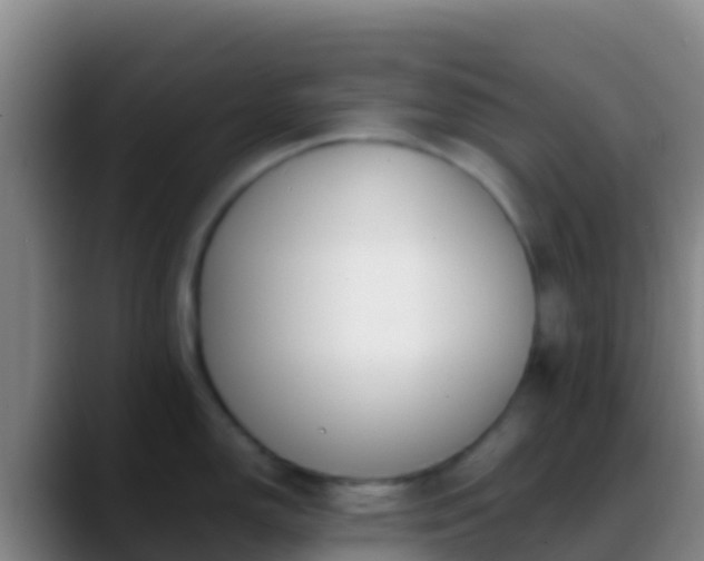 X0000088911150200706151901