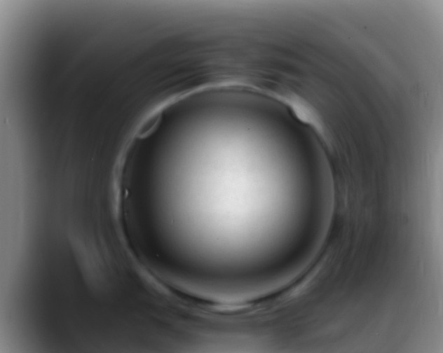 X0000088911151200706151901