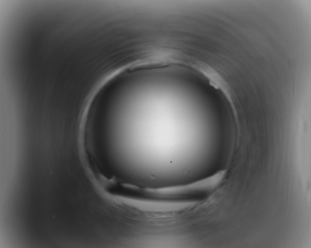 X0000088911152200706151901