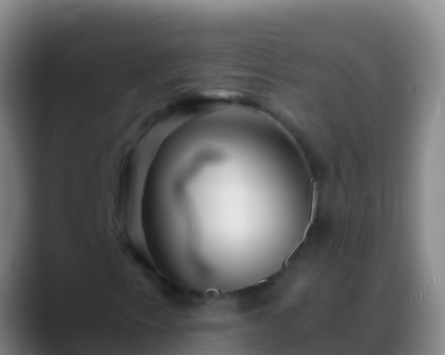 X0000088911153200706151901