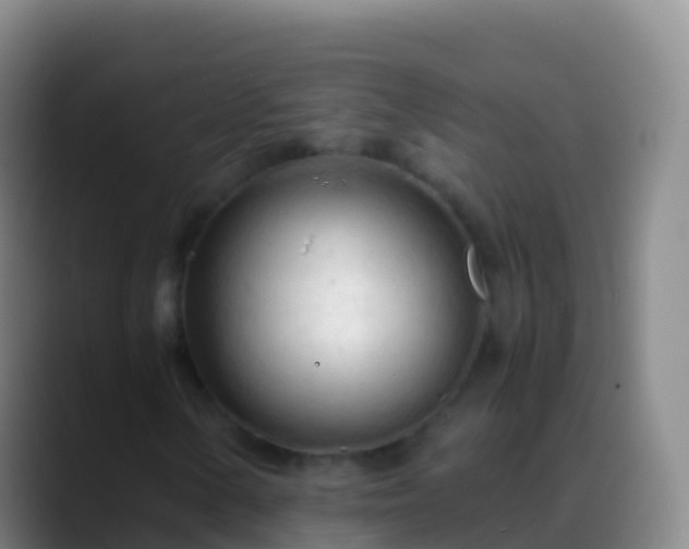 X0000088911154200706151901