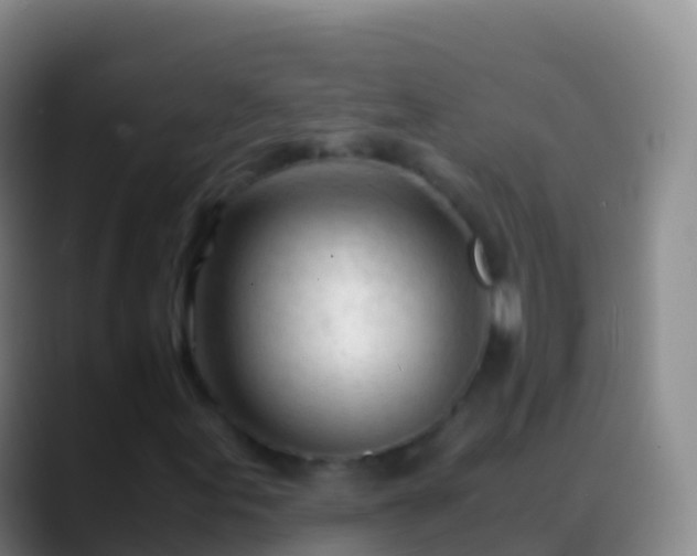 X0000088911155200706151901