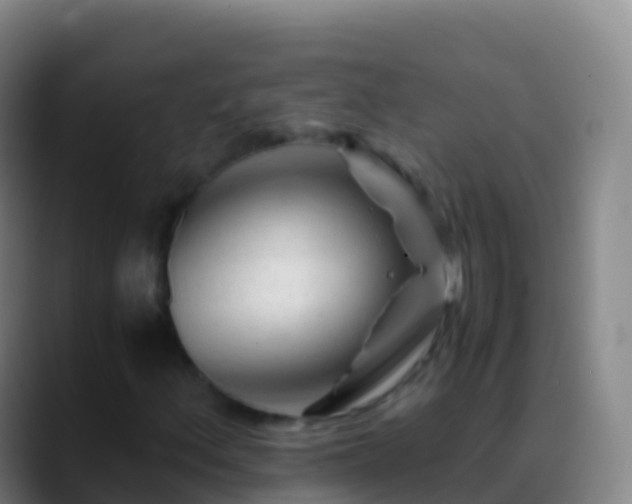 X0000088911156200706151901