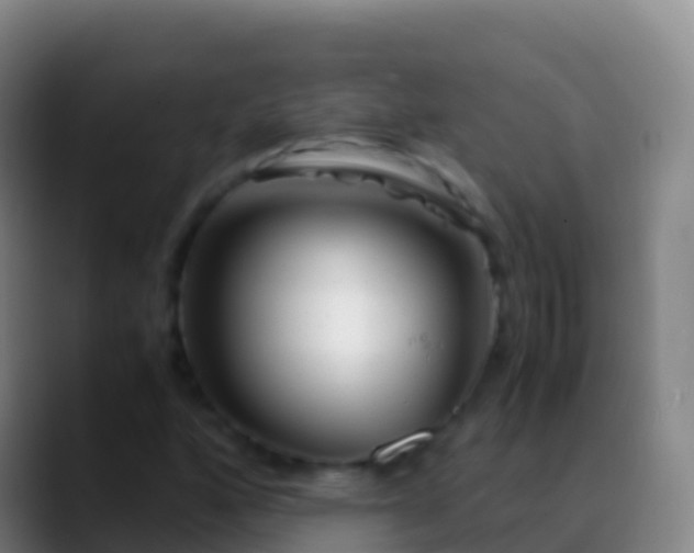 X0000088911160200706151901