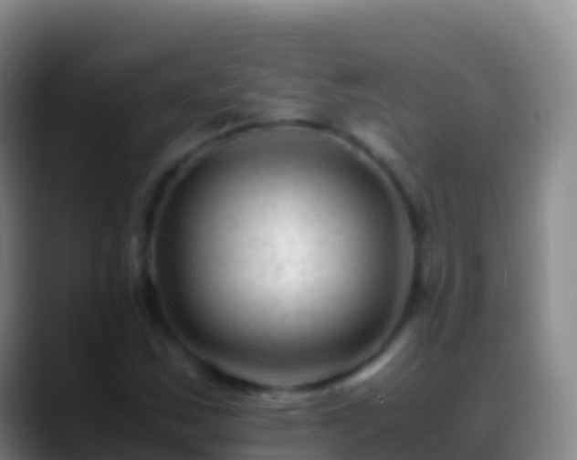 X0000088911163200706151900