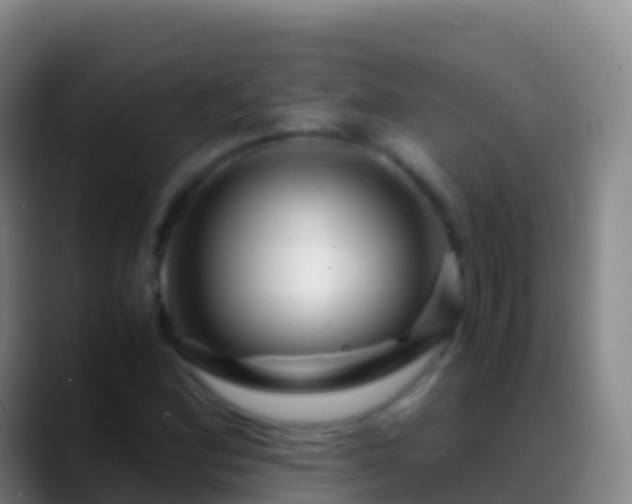 X0000088911164200706151900
