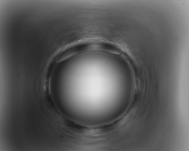 X0000088911165200706151900