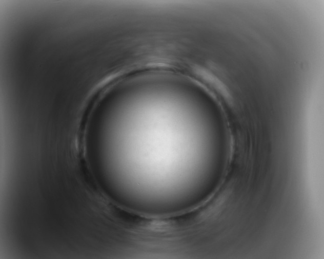 X0000088911166200706151900