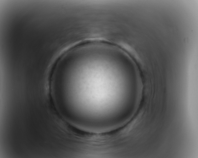 X0000088911167200706151900