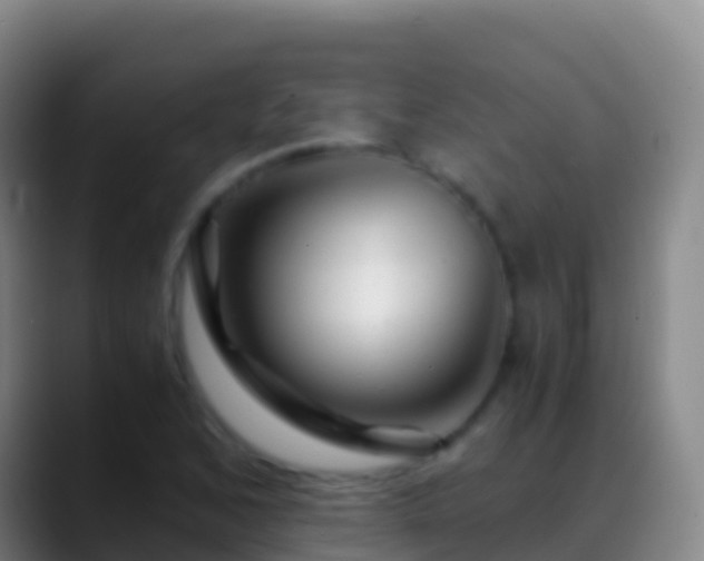 X0000088911168200706151900