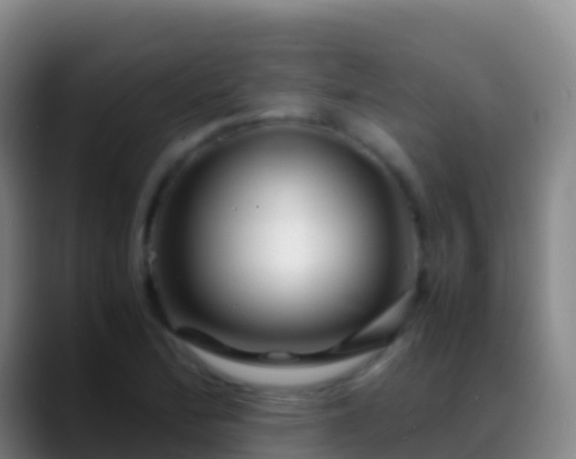 X0000088911172200706151900