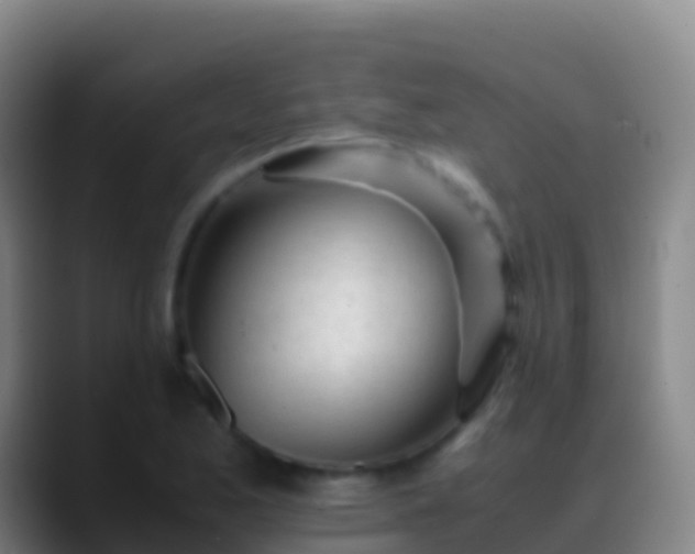 X0000088911173200706151900