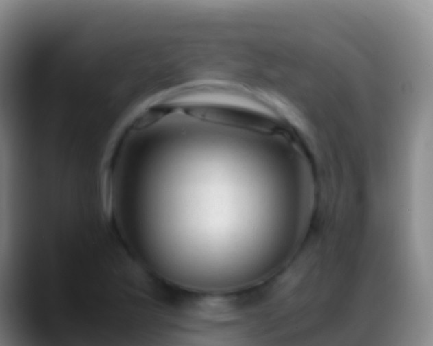 X0000088911175200706151900
