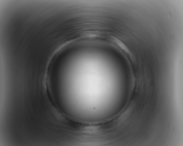 X0000088911178200706151900