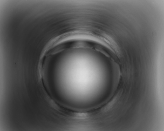 X0000088911180200706151900
