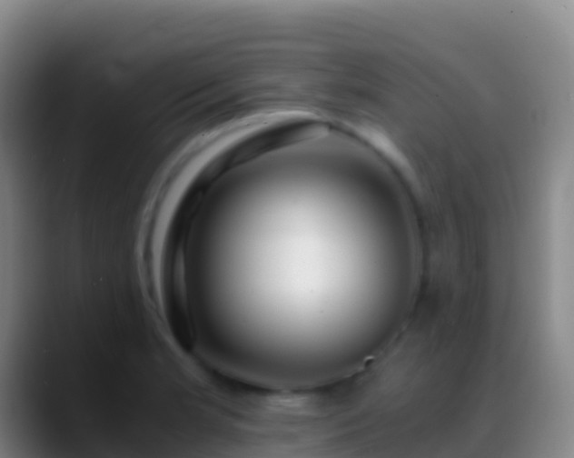 X0000088911181200706151900