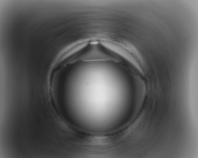 X0000088911184200706151900