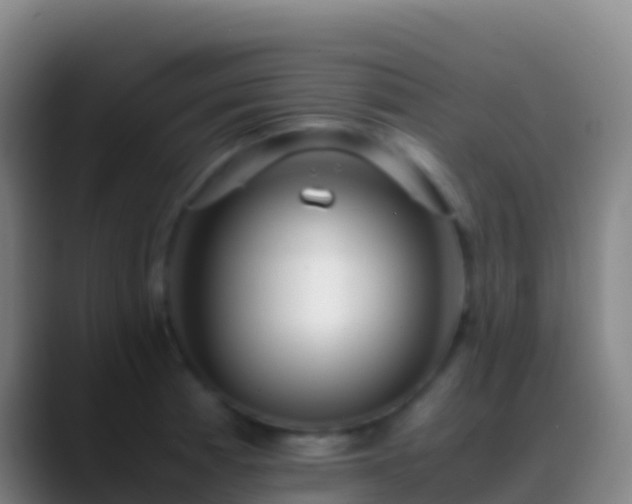 X0000088911185200706151900