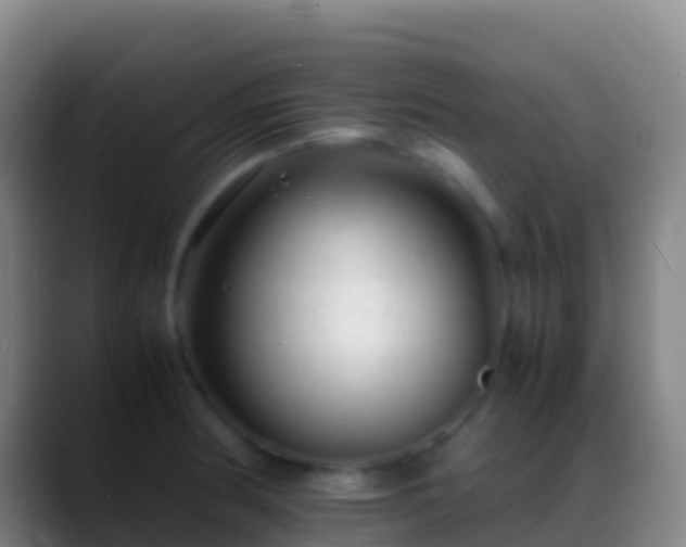 X0000088911186200706151900