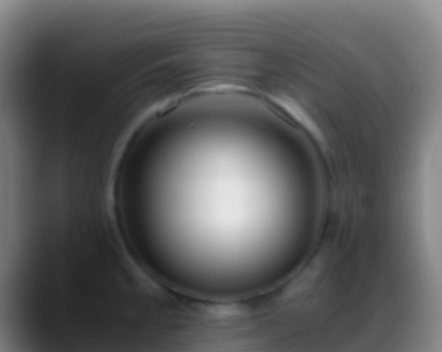 X0000088911189200706151900