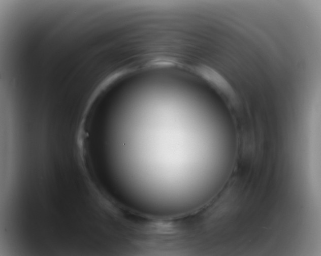 X0000088911190200706151900