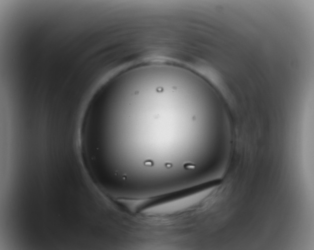 X0000088911191200706151900