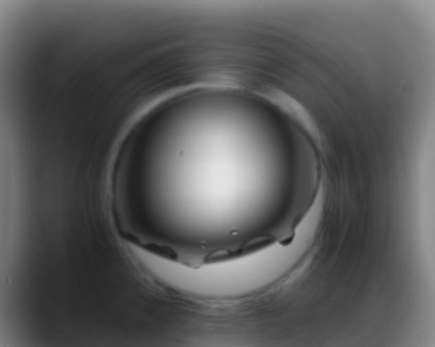 X0000088911192200706151900