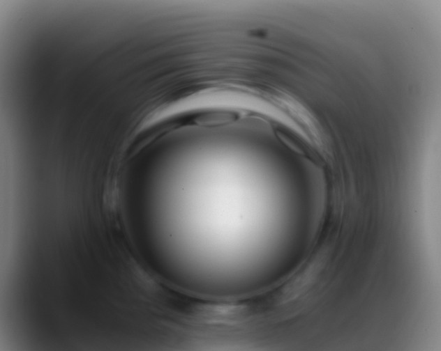 X0000088911193200706151900