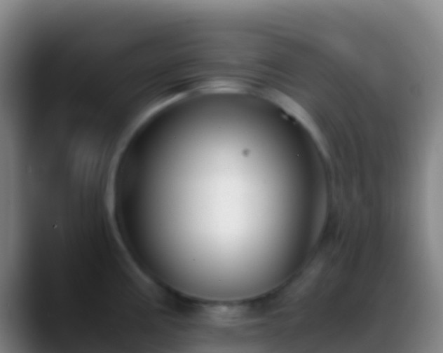 X0000088911195200706151900