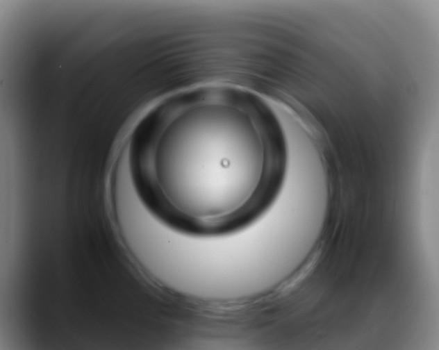 X0000088911196200706151900