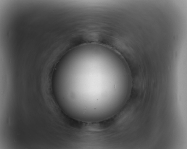 X0000088911201200706151900