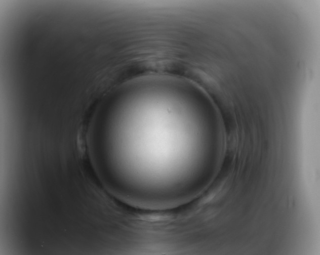 X0000088911202200706151900
