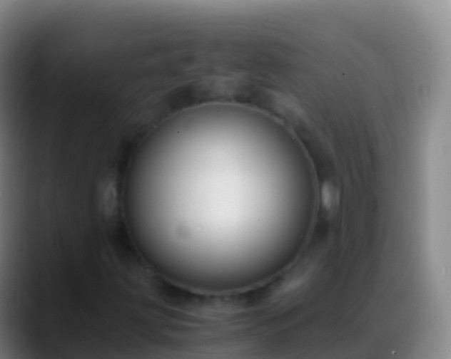 X0000088911203200706151900