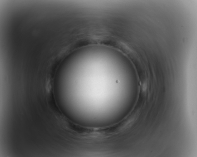 X0000088911204200706151900