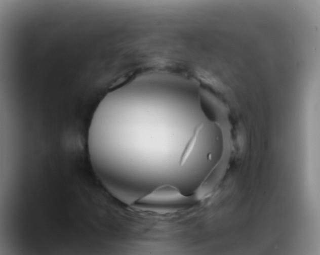 X0000088911206200706151900