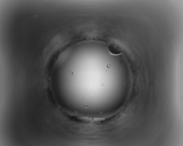 X0000088911207200706151900