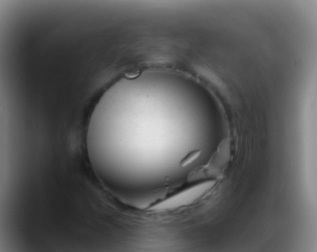 X0000088911208200706151900