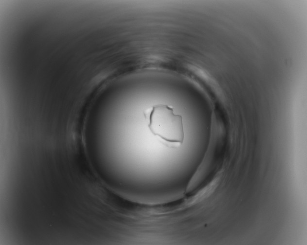 X0000088911210200706151900