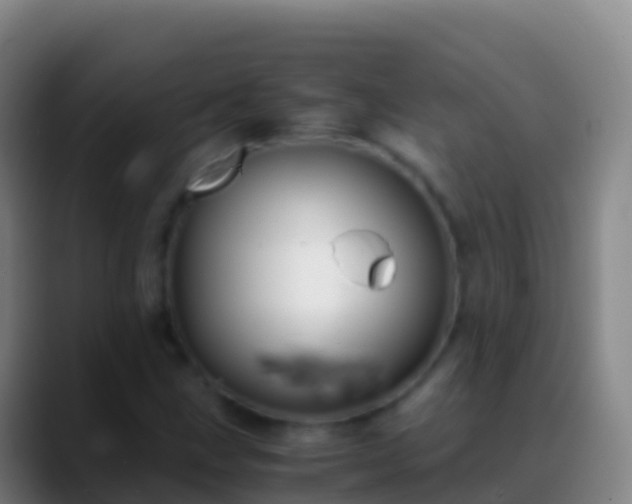 X0000088911211200706151900