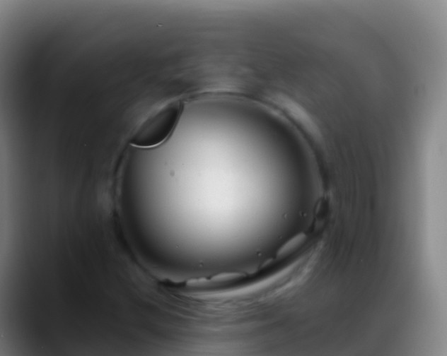 X0000088911212200706151900