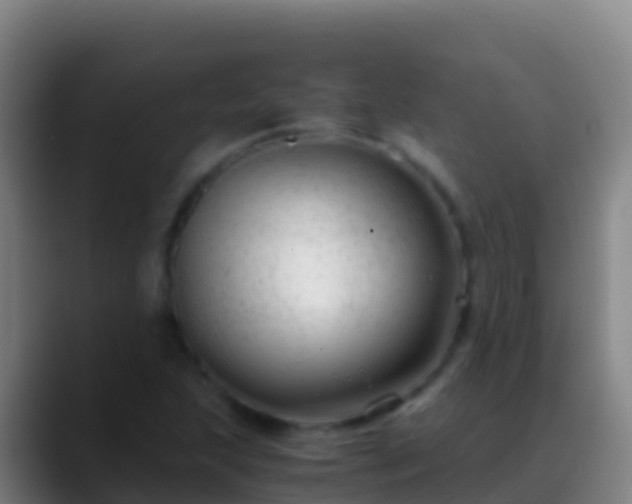 X0000088911215200706151900