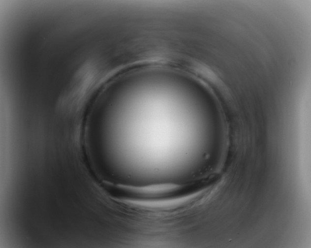 X0000088911216200706151900