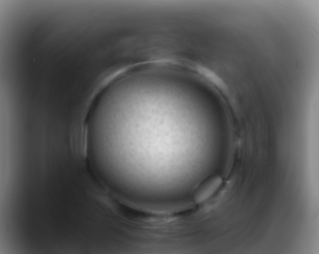 X0000088911223200706151900