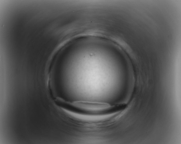 X0000088911224200706151900